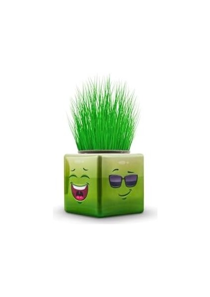 3 Adet Karışık 3 Tarafı Emojili Küp Çim Okul ve Okul Öncesi Hediyelik Çim Adam BAMBMNM418 fiyatları