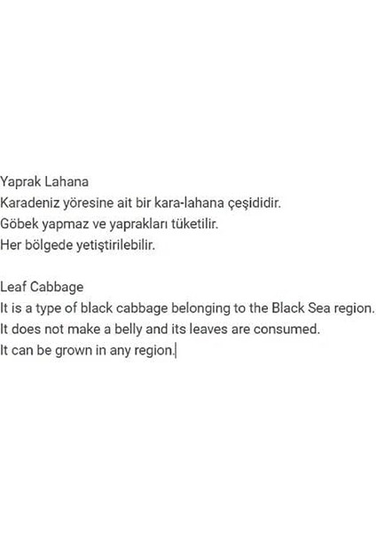Tarım Ata Tohumu Yöresel Kara Lahana (Karadeniz Lahanası, Yaprak Lahana) 500 Adet Tohum fiyatları