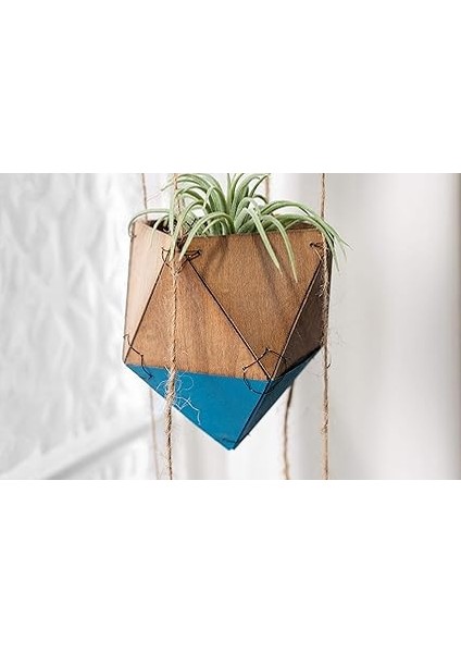 2006255 Ihlamur Ağacı Tabaka 30.5X15CM 4lü Paket indirimleri