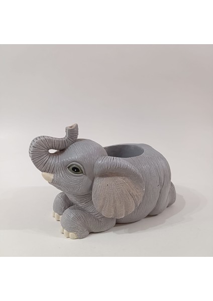 Sevimli Fil Saksı fiyatları