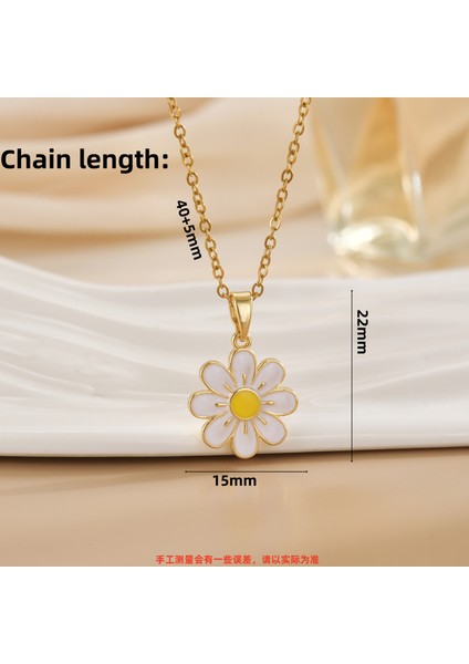 Yeni Özel Titanyum Çelik Köprücük Kemiği Zinciri Geometrik Tasarım Kolye Kadın Kolye Işık Lüks Niş Yüksek Kaliteli Aksesuarlar (Yurt Dışından)