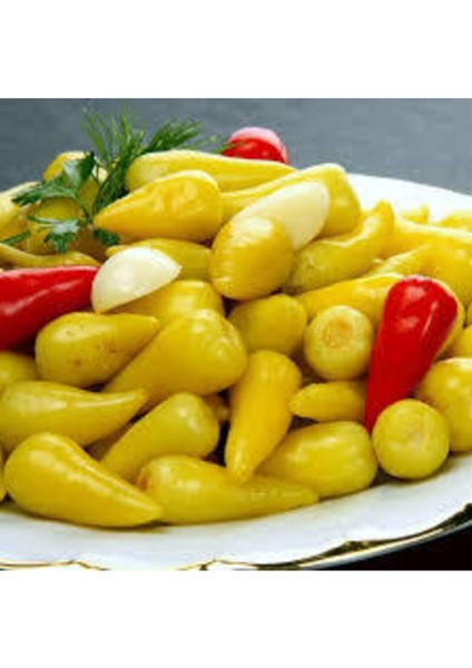 100 Adet Tohum Acı Süs Biberi Tohumu Fındık Biberi Tohumu Topak Biber Tohum modelleri