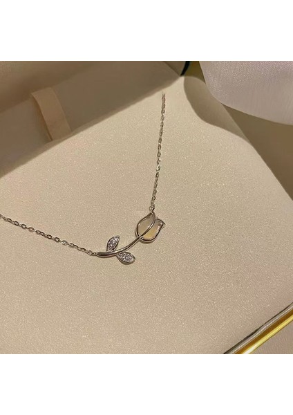 Yeni Kolye Niş Tasarım Birinci Sınıf Mizaç Duygusu Basit Köprücük Kemiği Zinciri Çok Yönlü Basit Hafif Lüks Kolye (Yurt Dışından)