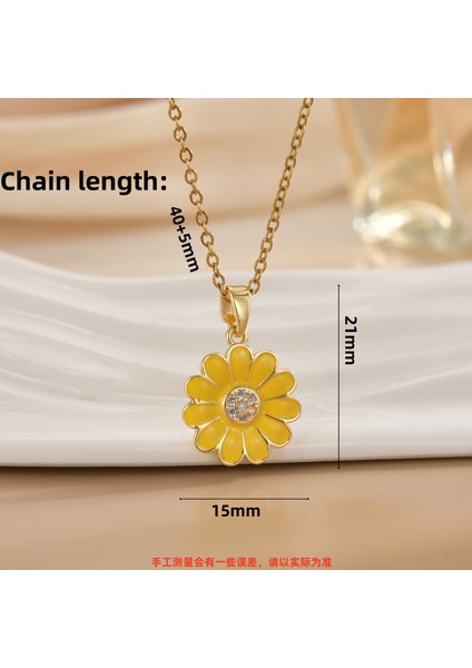 Yeni Özel Titanyum Çelik Köprücük Kemiği Zinciri Geometrik Tasarım Kolye Kadın Kolye Işık Lüks Niş Yüksek Kaliteli Aksesuarlar (Yurt Dışından)