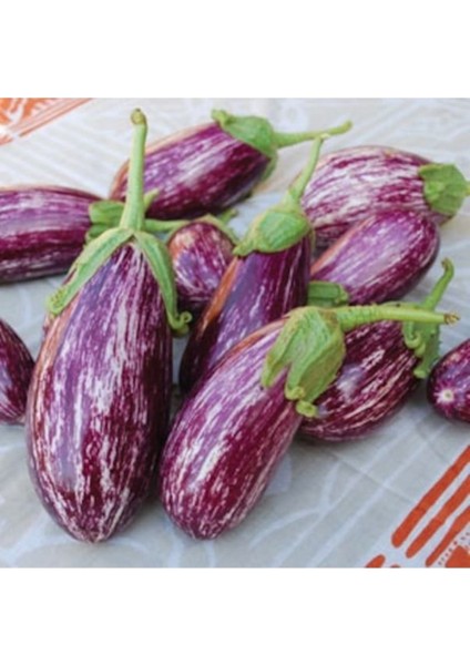 20 Adet Tohum Nadir Organik Çizgili Kemer Patlıcan Tohumu Saksı Toprak Hediyeli fiyatları