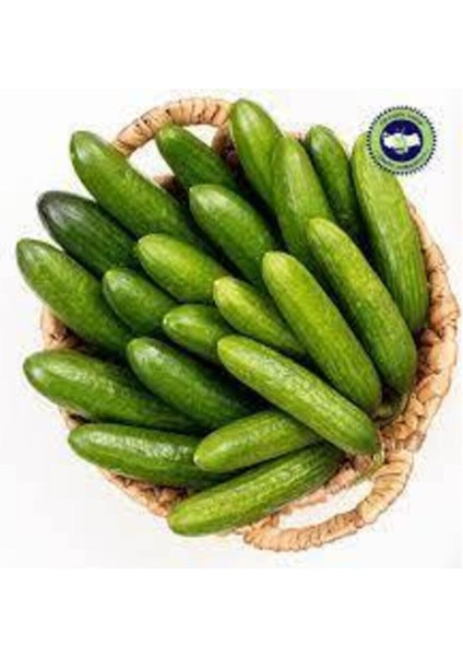 20 Adet Tohum Nadir Badem Salatalık Tohumu Organik Çıtır Salatalık Tohumu Sürpriz Hediye Tophumlu