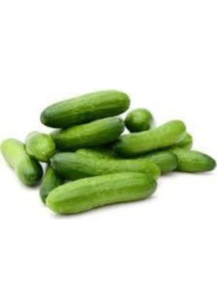 20 Adet Tohum Nadir Badem Salatalık Tohumu Organik Çıtır Salatalık Tohumu Sürpriz Hediye Tophumlu fiyatları