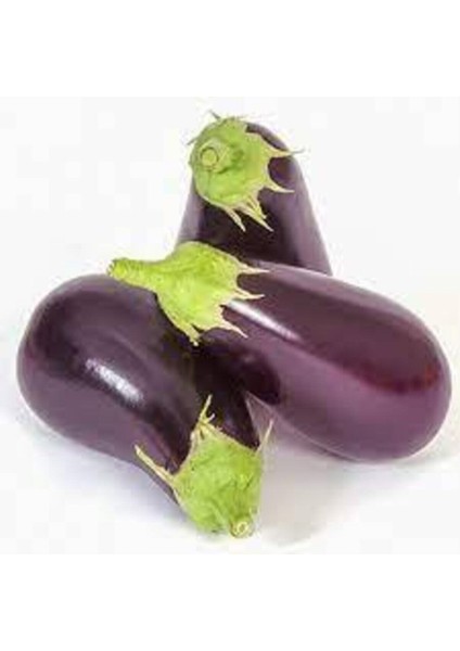 200 Adet Tohum Adana Dolmalık Patlıcan Tohumu Kurutmalık Dolmalık Topak Patlıcan Sürpriz Hediyeli modelleri