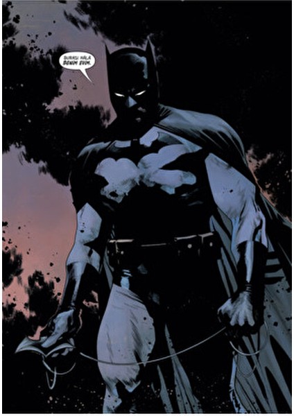Batman Vs. Robin Mark Waid 248 Sayfa Ciltsiz Eser 2023 Yılı Yayın
