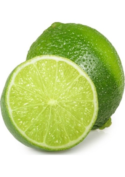 10 Adet Tohum Nadir Yeşil Limon Ağacı Ağaç Tohumu Saksı Toprak Hediyemiz fiyatları