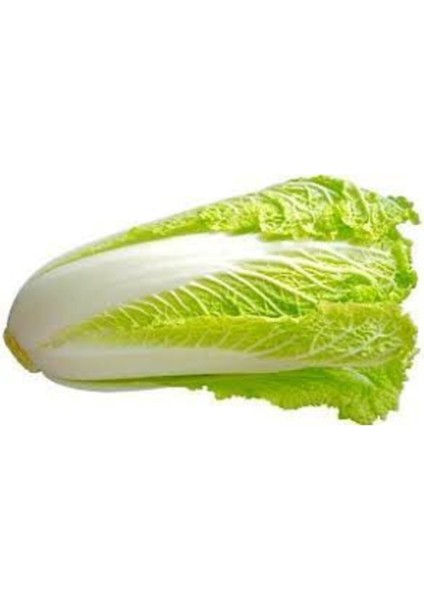 25 Adet Tohum Nadir Çin Yaprak Lahana Tohumu fiyatları