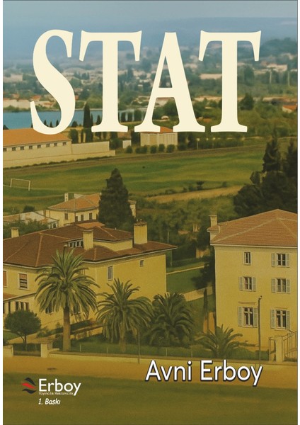 Stat - Avni Erboy