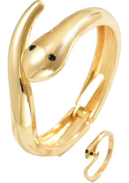 YUANYING-7811 Altın Yılan Desenli Takı Seti (Yurt Dışından)