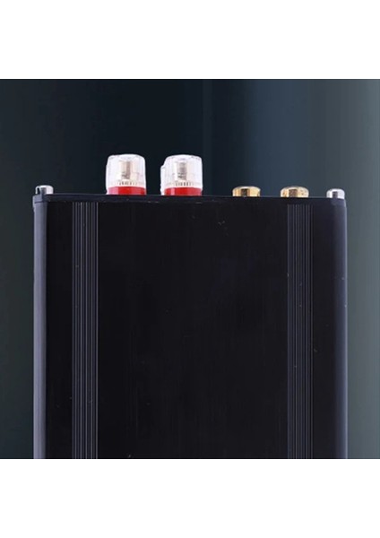 TDA7498 Dijital Güç Amplifikatörü Kart Sınıfı D 100WX2 Hıfı Home Ses Ses Stereo Ses Amplıfıcı Dijital Ses Amp (Yurt Dışından) fiyatları