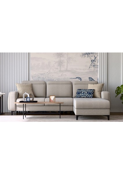 Lumeris Yataklı Sandıklı Köşe