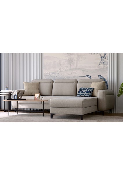 Lumeris Yataklı Sandıklı Köşe fiyatları