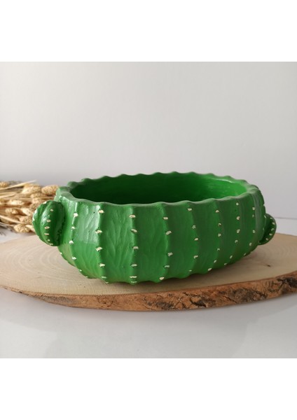 Oval Kaktüs Saksı
