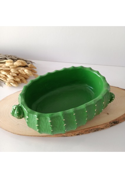 Oval Kaktüs Saksı fiyatları