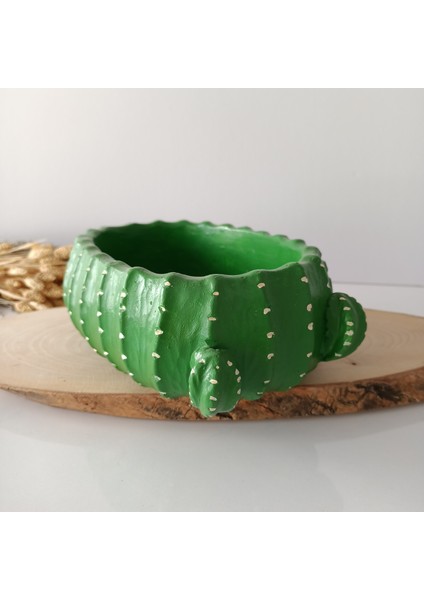 Oval Kaktüs Saksı modelleri