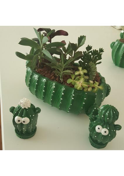 Oval Kaktüs Saksı indirimleri