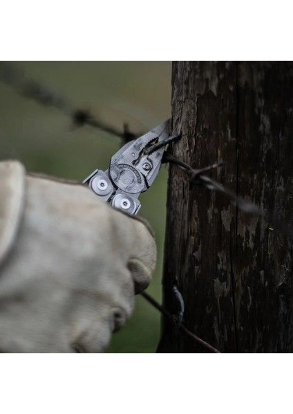 Surge Tam Set indirimleri