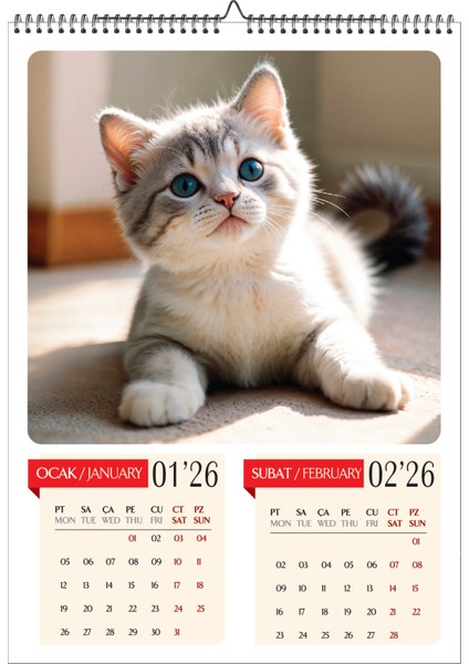 2026 Kedi Temalı Duvar Takvimi-A3 6 Sayfa Üstten Spiralli ve Askılı