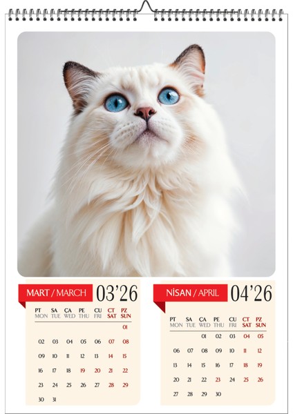 2026 Kedi Temalı Duvar Takvimi-A3 6 Sayfa Üstten Spiralli ve Askılı fiyatları