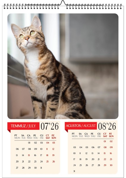 2026 Kedi Temalı Duvar Takvimi-A3 6 Sayfa Üstten Spiralli ve Askılı fırsatları