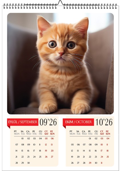 2026 Kedi Temalı Duvar Takvimi-A3 6 Sayfa Üstten Spiralli ve Askılı indirimleri
