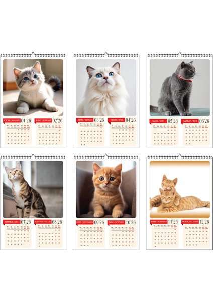 2026 Kedi Temalı Duvar Takvimi-A3 6 Sayfa Üstten Spiralli ve Askılı