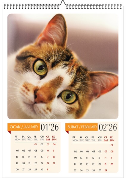 2026 Kedi Temalı A3 Duvar Takvimi-6 Sayfa Üstten Spiralli ve Askılı