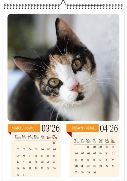 2026 Kedi Temalı A3 Duvar Takvimi-6 Sayfa Üstten Spiralli ve Askılı fiyatları