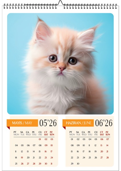 2026 Kedi Temalı A3 Duvar Takvimi-6 Sayfa Üstten Spiralli ve Askılı modelleri