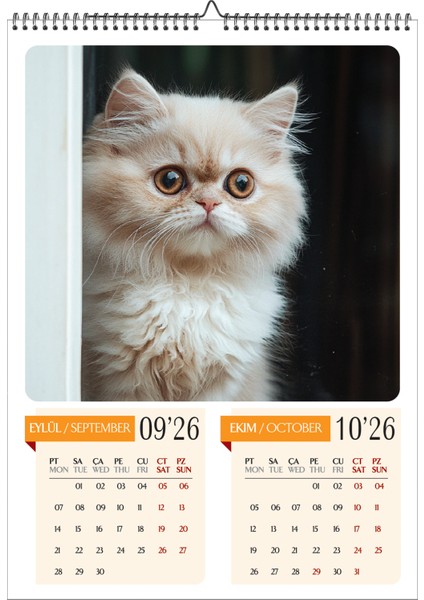 2026 Kedi Temalı A3 Duvar Takvimi-6 Sayfa Üstten Spiralli ve Askılı indirimleri