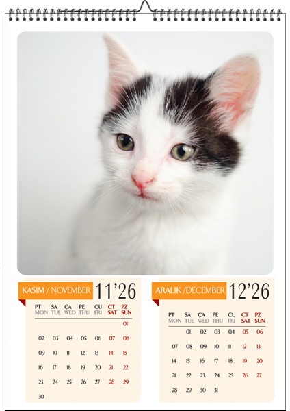 2026 Kedi Temalı A3 Duvar Takvimi-6 Sayfa Üstten Spiralli ve Askılı