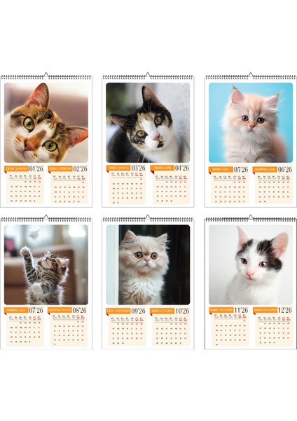 2026 Kedi Temalı A3 Duvar Takvimi-6 Sayfa Üstten Spiralli ve Askılı
