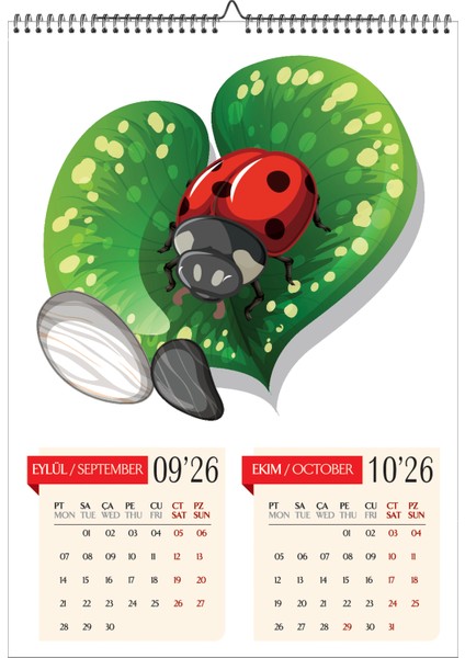 2026 Çocuk Odası A3 Duvar Takvimi-Uğurböceği Temalı 6 Sayfa Spiralli ve Askılı indirimleri