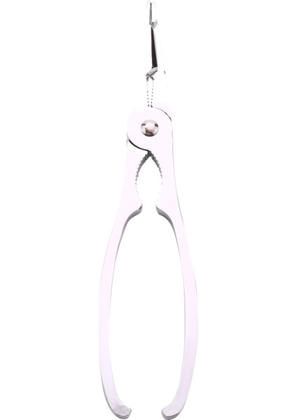 Deniz Ürünleri Kraker Pick Set 2pcs Yengeç Istakoz Çatal Için Paslanmaz Çelik Yararlı Mutfak Eşyaları Ev Mutfak Deniz Ürünleri Pişirme Aracı Gadgets (Yurt Dışından) indirimleri