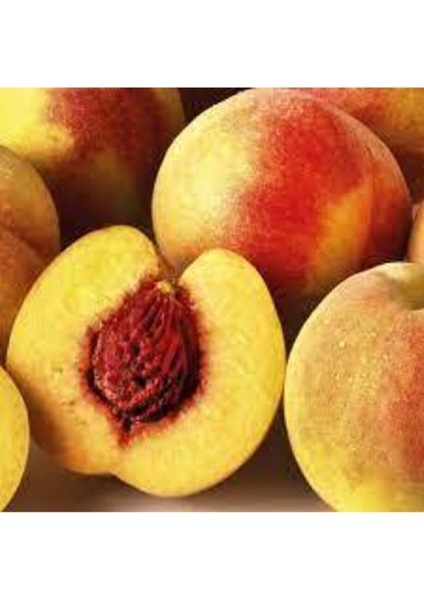 2 Adet Bursa Yarma Şeftali Tohumu modelleri