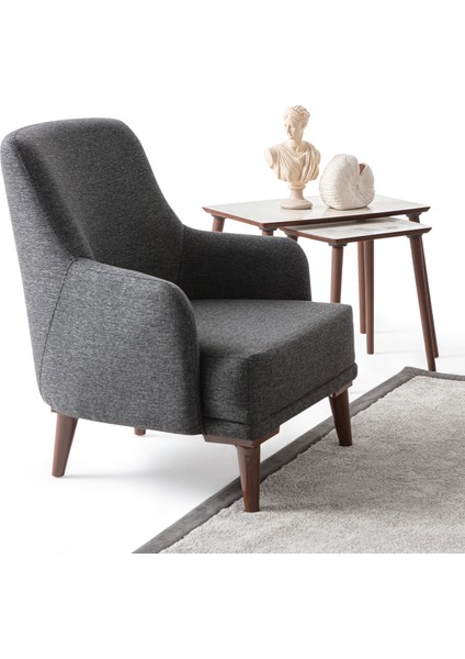 Regnar Keten Berjer Antrasit Tekli Koltuk