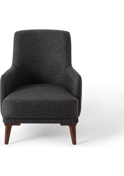 Regnar Keten Berjer Antrasit Tekli Koltuk fiyatları