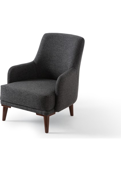 Regnar Keten Berjer Antrasit Tekli Koltuk modelleri