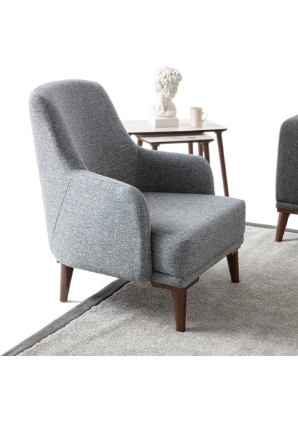 Regnar Keten Berjer Gri Tekli Koltuk