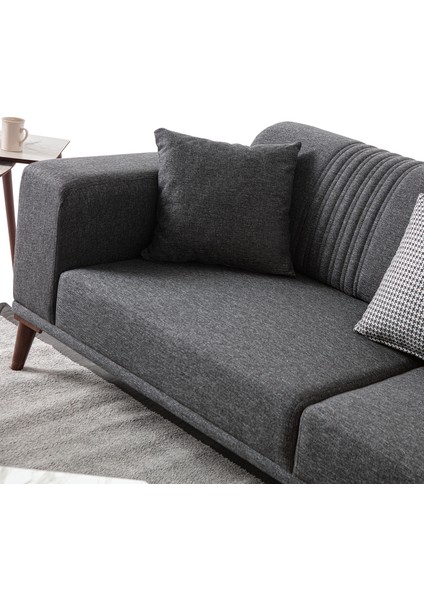 Regnar 3+1 Koltuk Takımı Antrasit modelleri