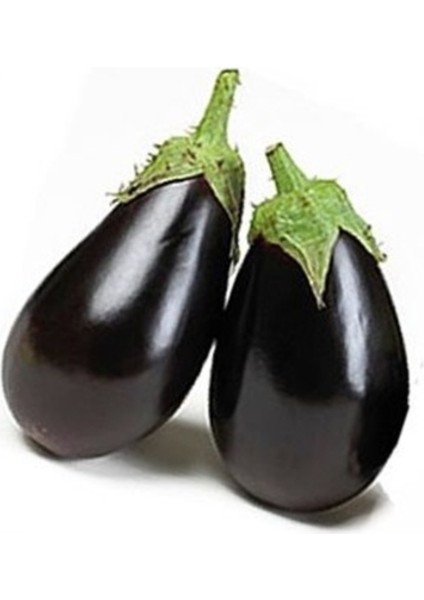 150 Adet Tohum Topak Dolmalık Patlıcan Tohumu Yeni Hasat Taze Patlıcan Hediye Tohumlar