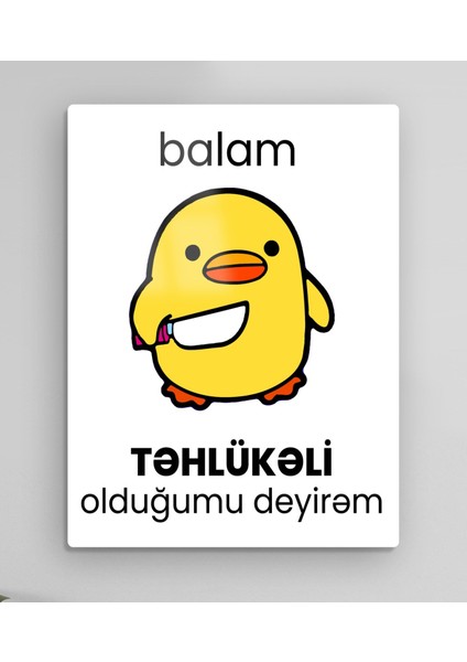 Balam Təhlükəli Olduğumu Deyirəm - Azərbaycan - Krujka Metal Tablo Model 1 fiyatları