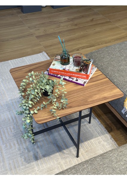 Madra Kare Yan Sehpa modelleri