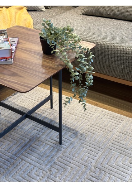 Madra Kare Yan Sehpa