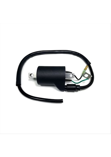 Ktm Sxf Xcf Excf Husqvarna Için Yeni Motosiklet Ateşleme Bobini (Yurt Dışından)