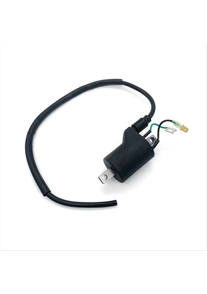 Ktm Sxf Xcf Excf Husqvarna Için Yeni Motosiklet Ateşleme Bobini (Yurt Dışından) indirimleri